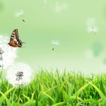 تصاویر فانتزی