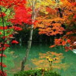 تصاویری بسیار زیبا از فصل پاییز