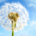 تصاویر فانتزی