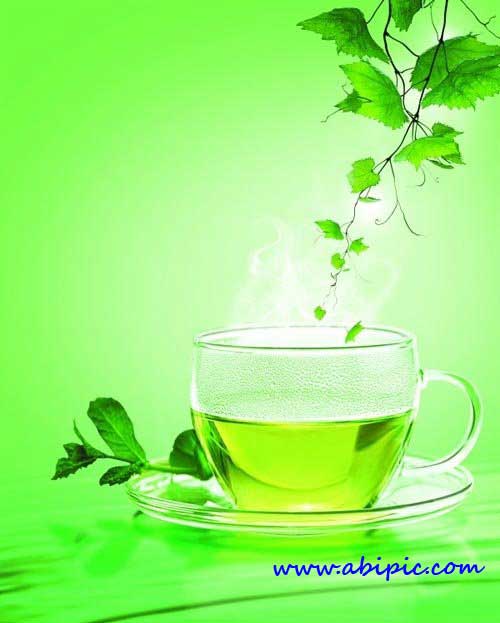 دانلود طرح لایه باز چای سبز Green Tea leaf PSD Transparent background