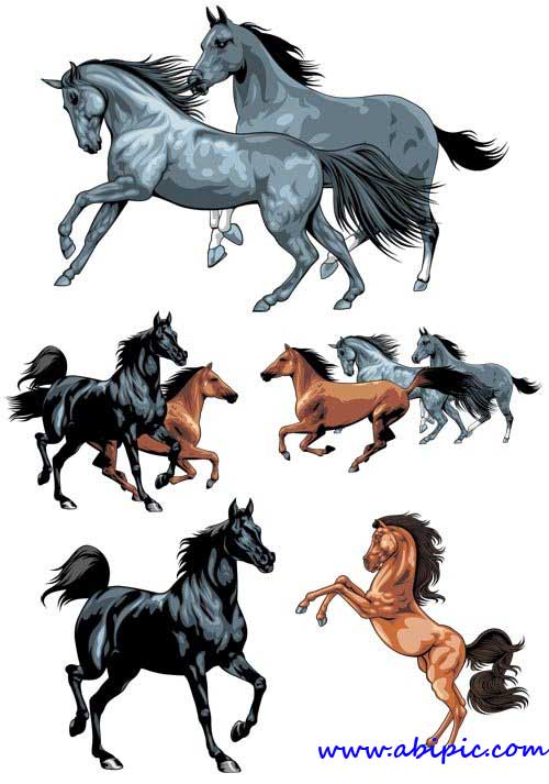 دانلود وکتور اسب در حالت های و رنگ های مختلف Horse surges Vector material