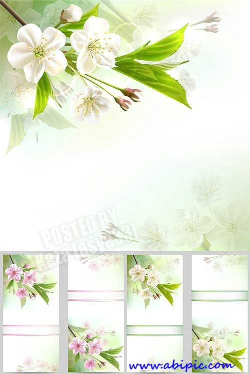 دانلود وکتور پس زمینه با طرح گل های بهاری Spring flowers Vectors