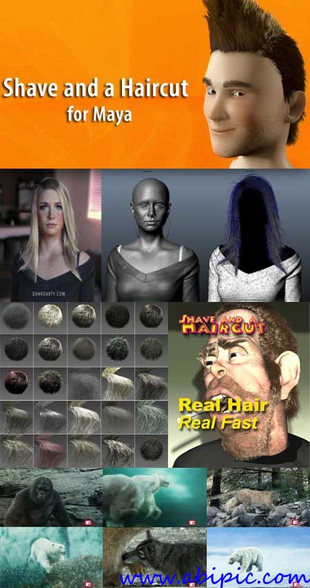 دانلود پلاگین ساخت مو در مایا Shave and a Haircut 7.0v23 Plugin for Maya