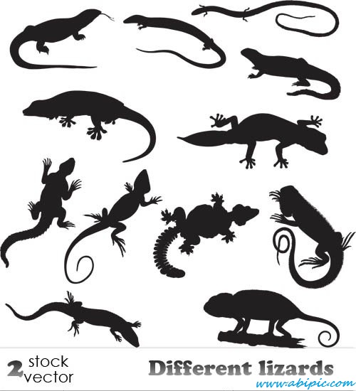 دانلود وکتور انواع مارمولک ها Vectors Different lizards