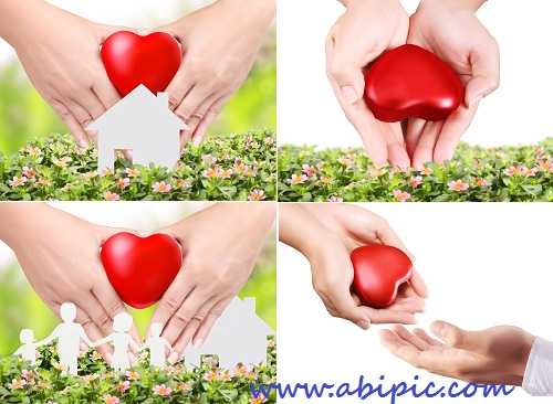 دانلود تصاویر استوک قلب در دست Heart in a hands - stock photo