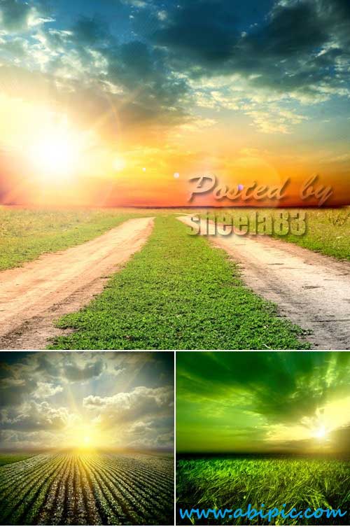 دانلود تصاویر استوک غروب آفتاب Stock Photo Sunset Nature Backgrounds