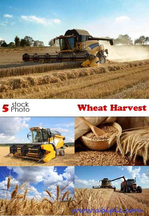 دانلود تصاویر استوک برداشت گندم Photos Wheat Harvest