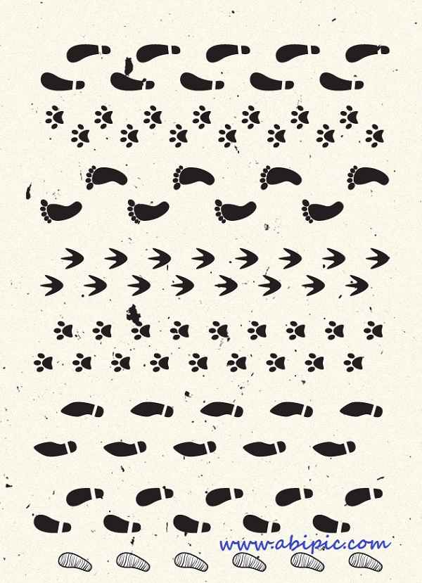 دانلود براش ایلوستریتور ردپا Footprint Brushes Set for Illustrator