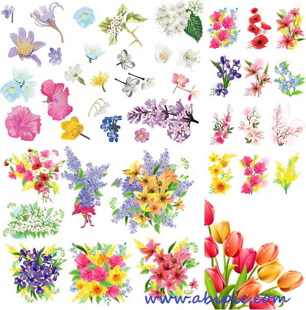 دانلود طرح وکتور انواع گل های بهاری Spring flowers - Stock Vectors