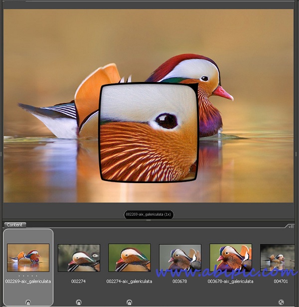 دانلود آموزش تصویری اصول پایه فتوشاپ برای افراد مبتدی قسمت 2 آشنایی با Adobe Bridge