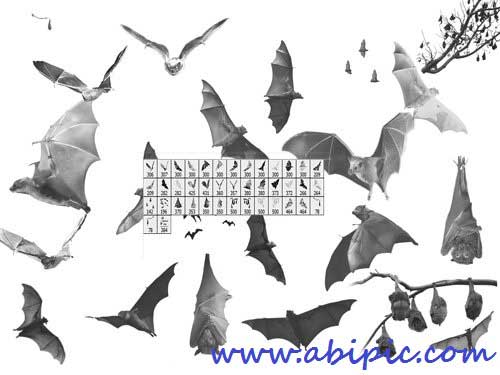 دانلود براش فتوشاپ خفاش Bat Photoshop brushes