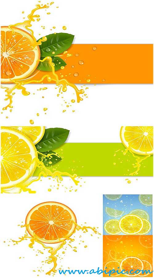 دانلود وکتور بکگراند با طرح پرتقال و لیمو Orange and lemon vector backgrounds