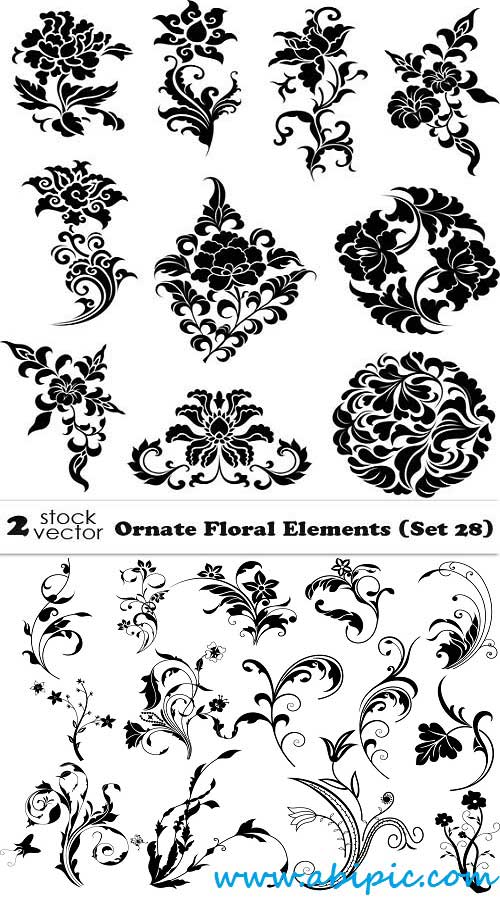 دانلود وکتور المان های تزئینی گل و بوته شماره 17 Vectors Ornate Floral Elements