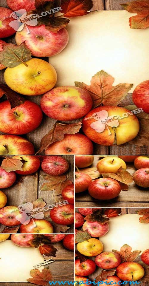 دانلود تصاویر پس زمینه پاییر با طرح سیب سرخ و چوب Autumn background with red apples