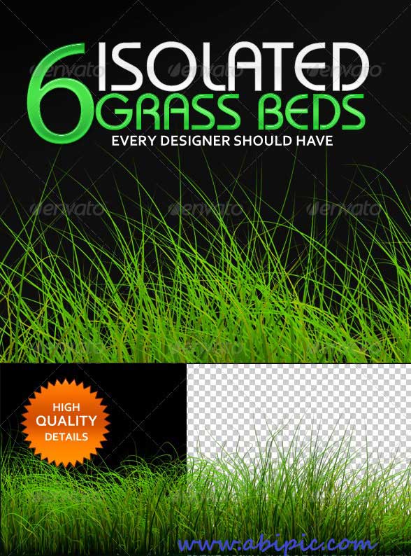 دانلود 6 طرح پس زمینه شفاف سبزه چمن و علف با کیفیت بالا