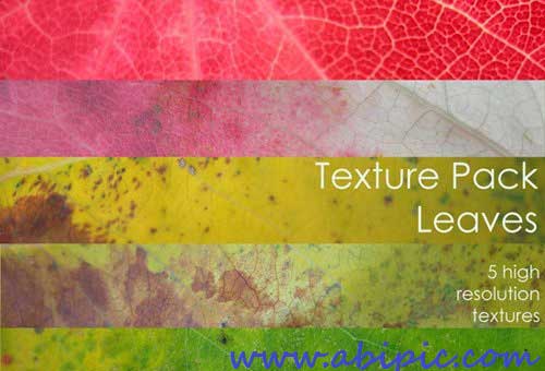 دانلود تکسچر سطح برگ Leaves - Textures Pack