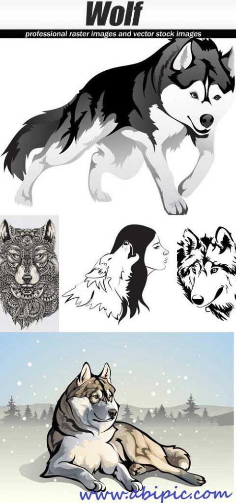 دانلود وکتور طراح های زیبا از گرگ سری 2 Wolf Vector