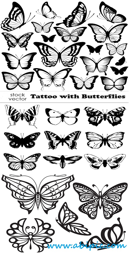 دانلود وکتور تتو با طرح پروانه Vectors Tattoo with Butterflies