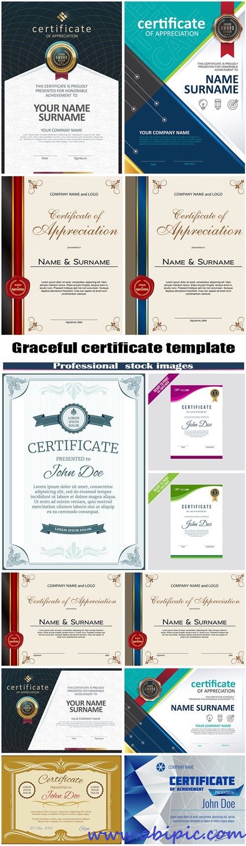 دانلود وکتور گواهی و تصدیق شماره 2 Graceful certificate template